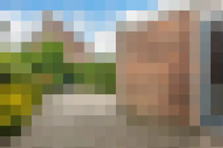 Sibrandaheerd 33 Groningen thumbnail 22