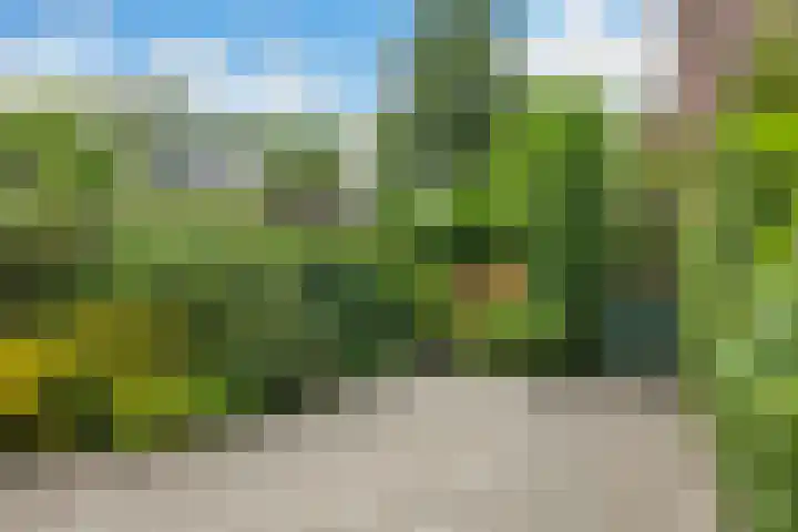Sibrandaheerd 33 Groningen thumbnail 24