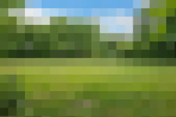 Sibrandaheerd 33 Groningen thumbnail 29
