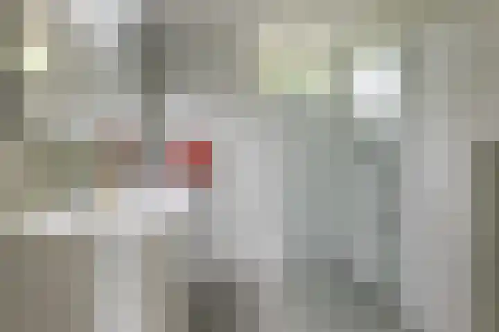 Sibrandaheerd 33 Groningen thumbnail 4