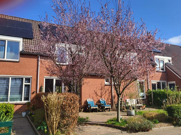 Sibrandaheerd 56 in Groningen