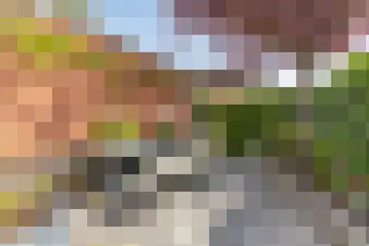 Sicilië 12 Zoetermeer thumbnail 48