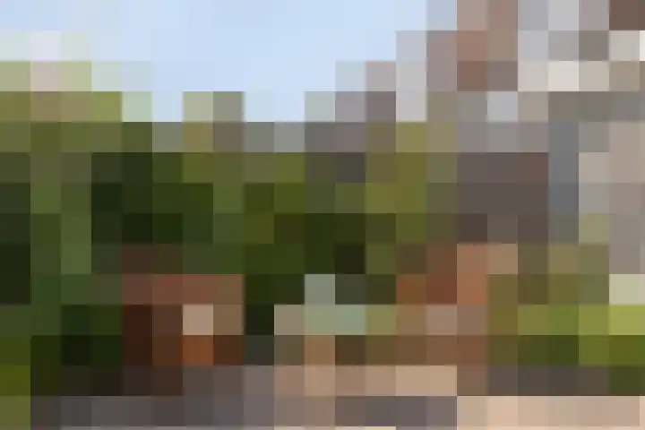 Sicilië 12 Zoetermeer thumbnail 5