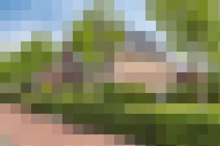 Sicilië 12 Zoetermeer thumbnail 51