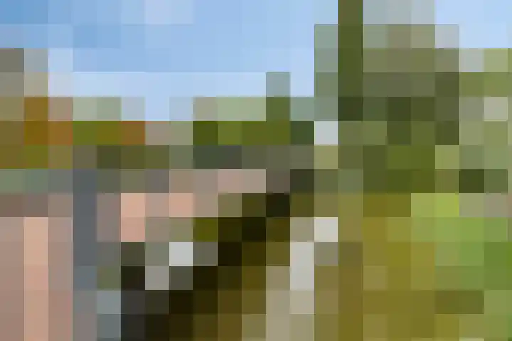 Sicilië 12 Zoetermeer thumbnail 56