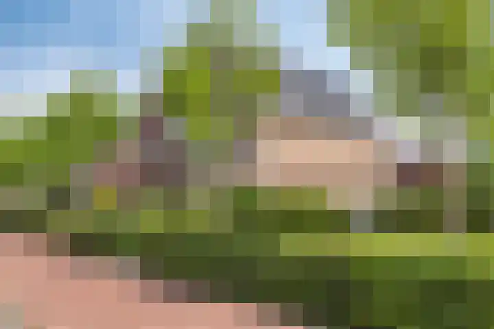 Sicilië 12 Zoetermeer thumbnail 7