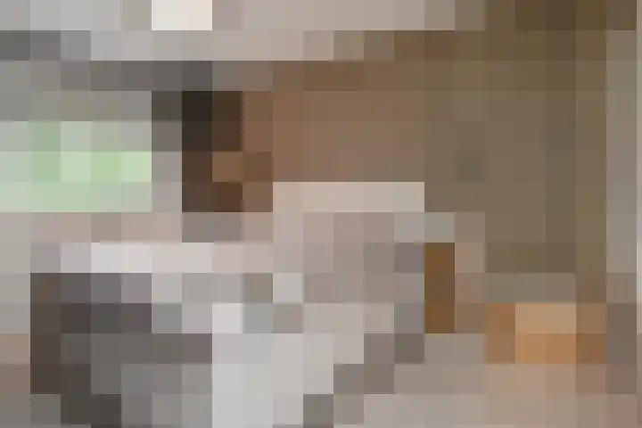 Sidelingeplein 158 Rotterdam thumbnail 18