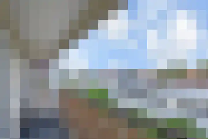 Sidelingeplein 158 Rotterdam thumbnail 23