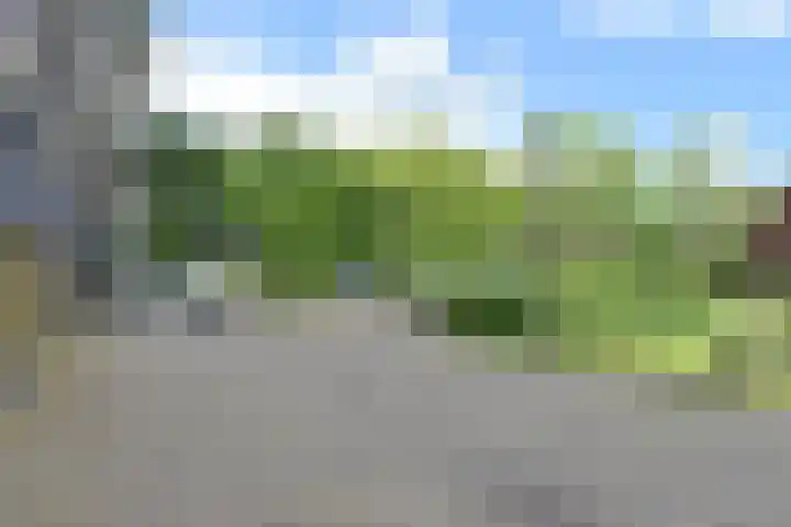 Sidelingeplein 158 Rotterdam thumbnail 6