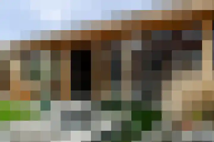 Sideriusstraat 8 a Sleen thumbnail 43