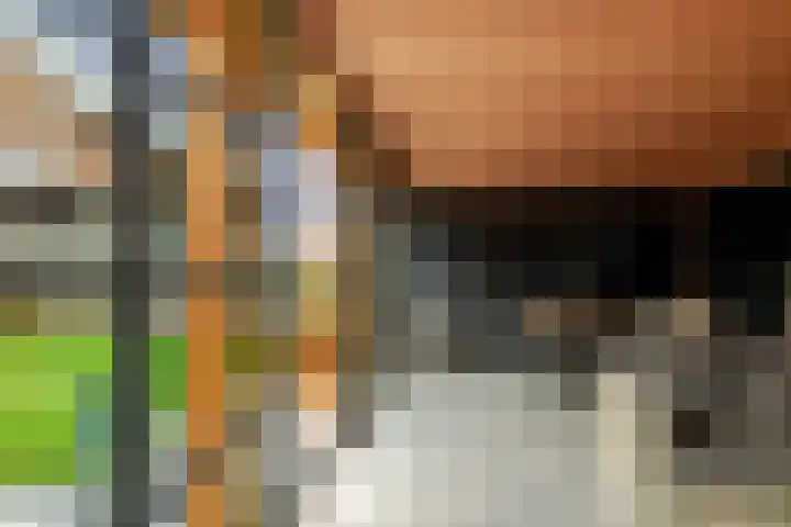 Sideriusstraat 8 a Sleen thumbnail 48