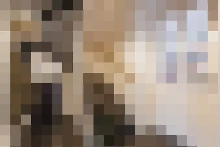 Sidoniastraat 10 Almere thumbnail 12