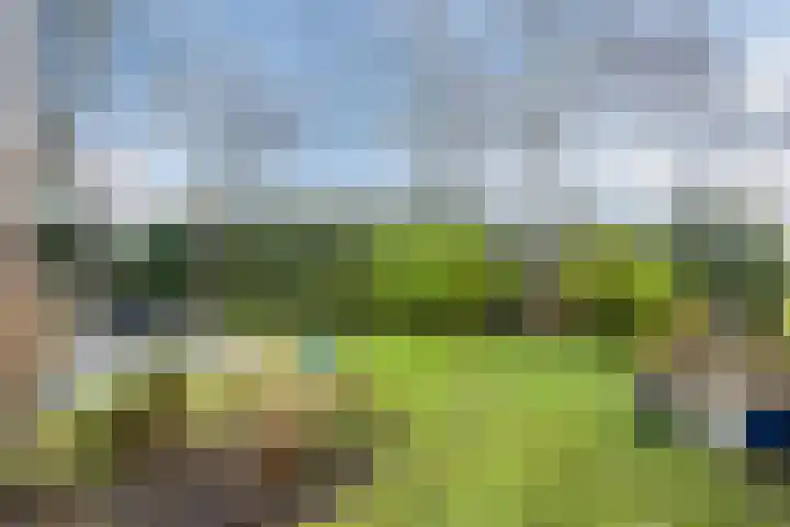 Sidoniastraat 10 Almere thumbnail 45