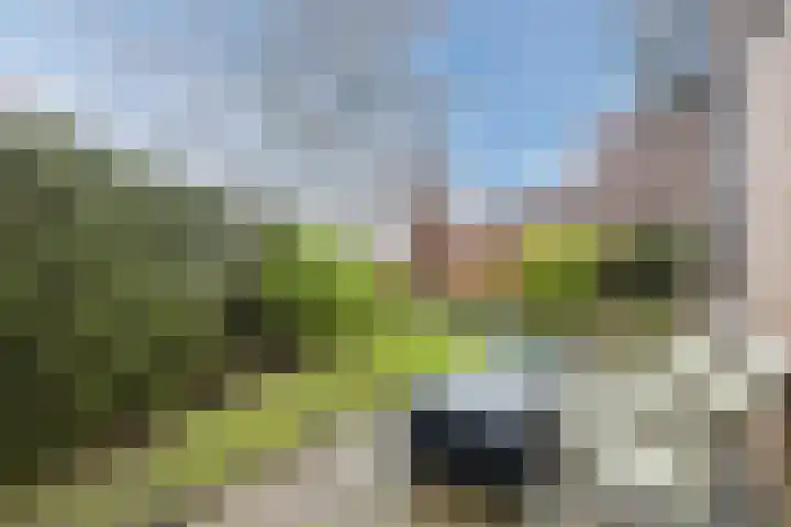 Sidoniastraat 10 Almere thumbnail 47
