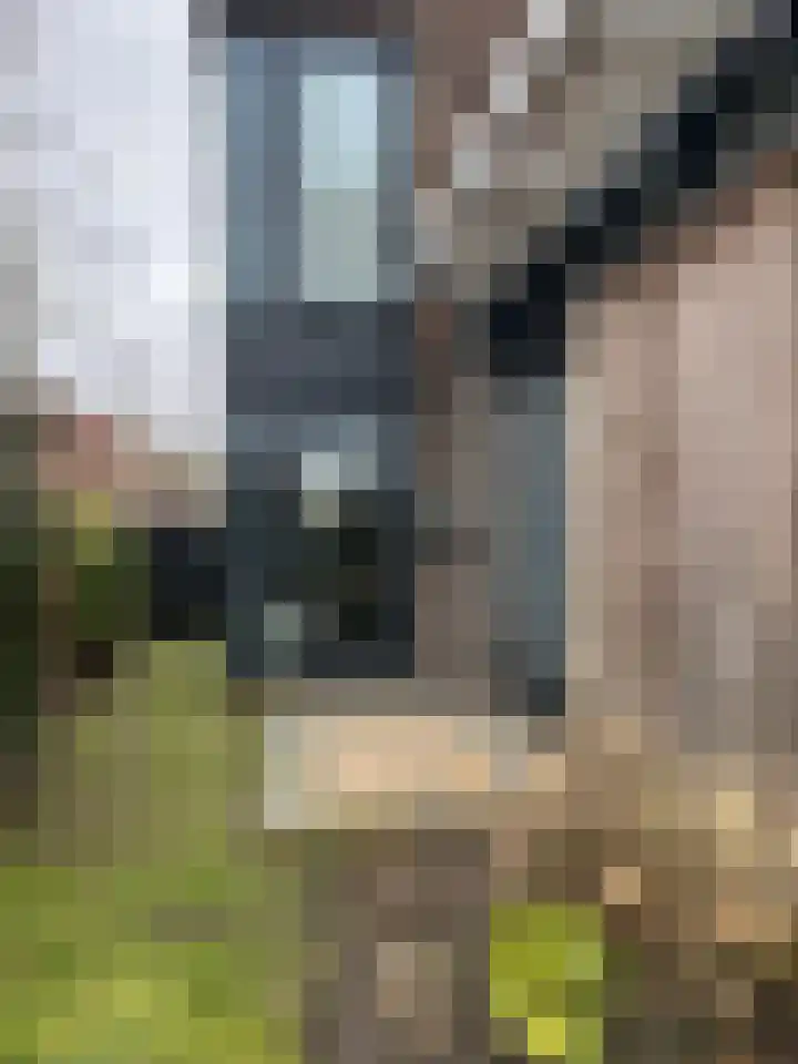 Sidoniastraat 10 Almere thumbnail 50
