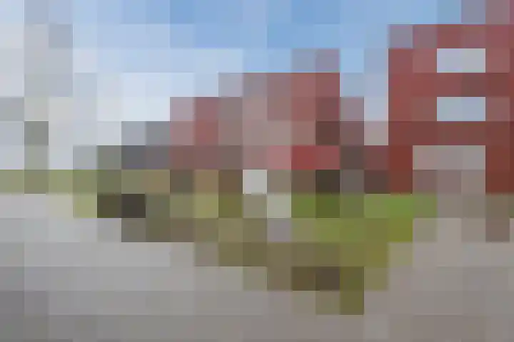 Sidoniastraat 10 Almere thumbnail 53