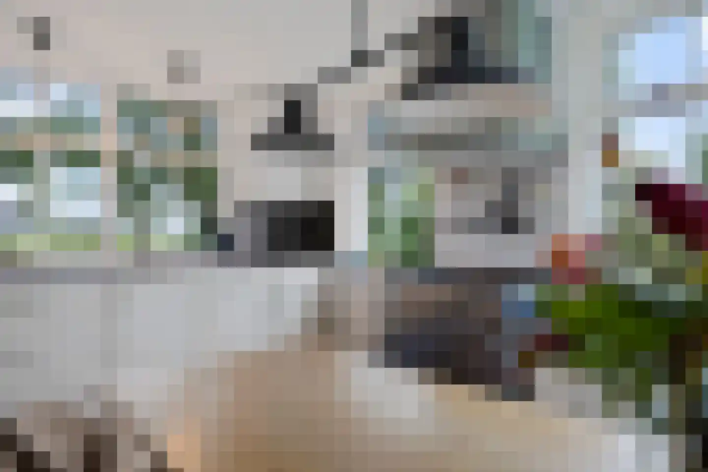 Siebe de Ruiterweg 5 Oudehaske thumbnail 25