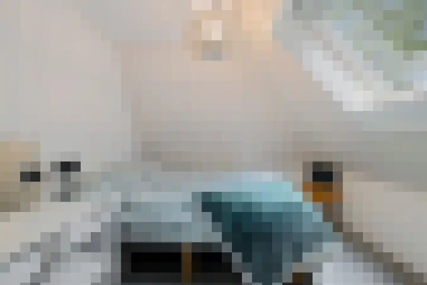 Siebe de Ruiterweg 5 Oudehaske thumbnail 4
