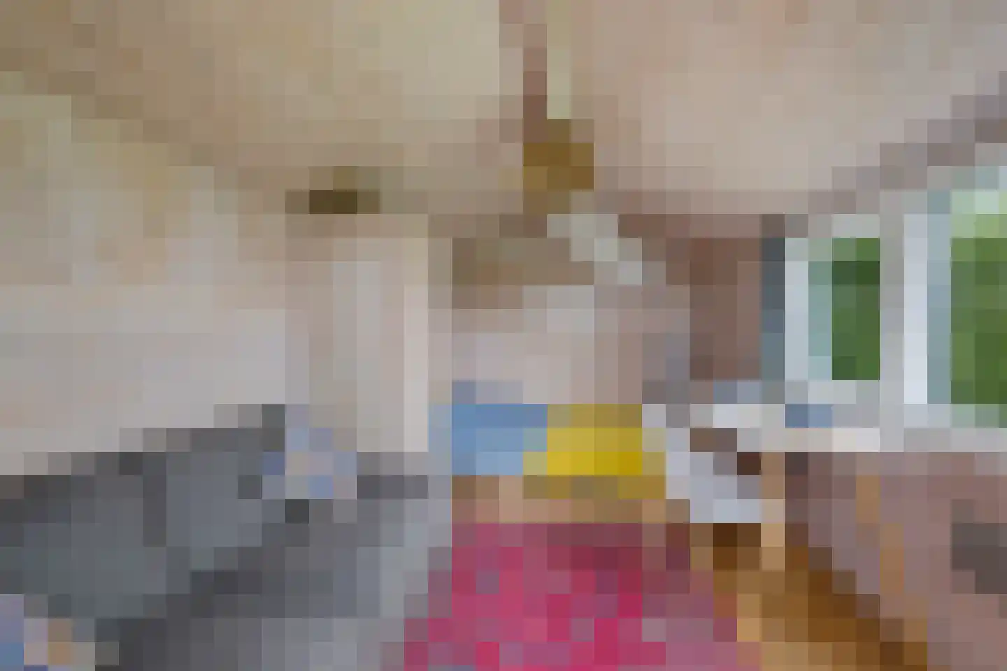 Siebe de Ruiterweg 5 Oudehaske thumbnail 51