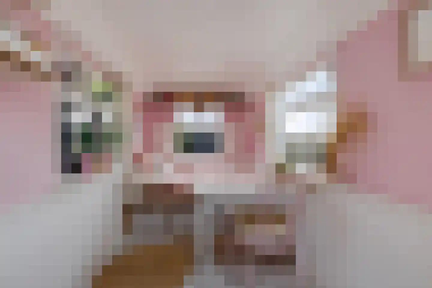 Siebe de Ruiterweg 5 Oudehaske thumbnail 54