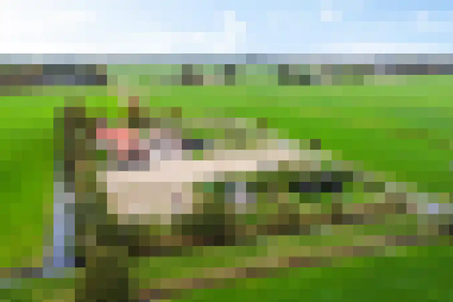 Siebe de Ruiterweg 5 Oudehaske thumbnail 58