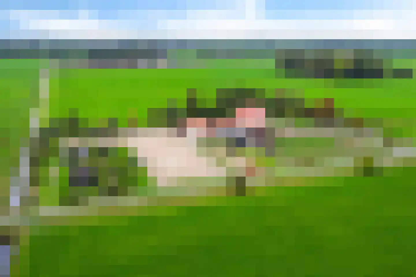 Siebe de Ruiterweg 5 Oudehaske thumbnail 59