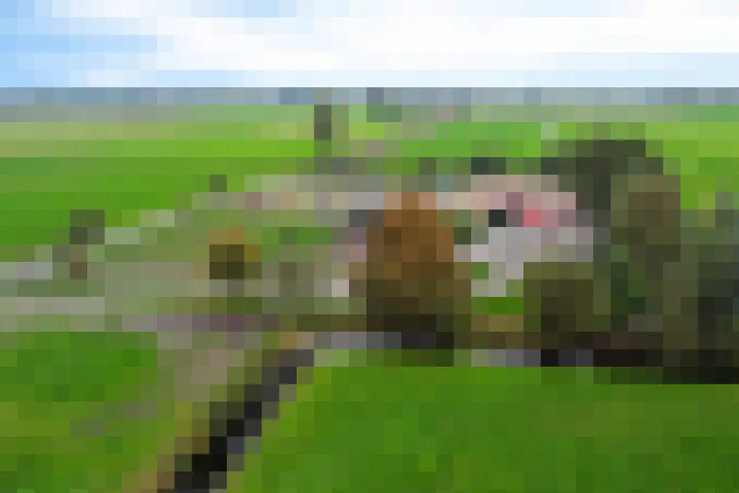 Siebe de Ruiterweg 5 Oudehaske thumbnail 61