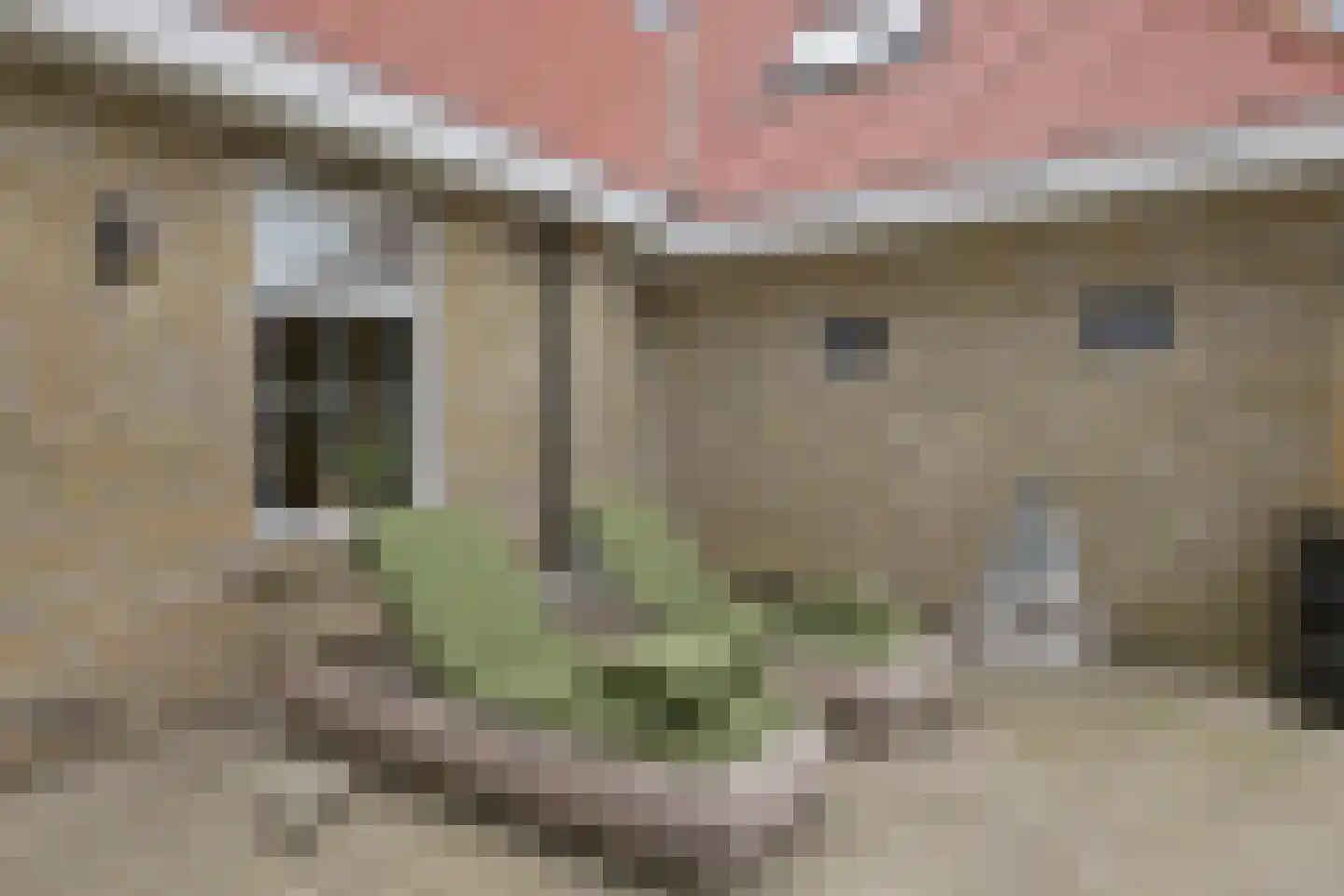 Siebe de Ruiterweg 5 Oudehaske thumbnail 9