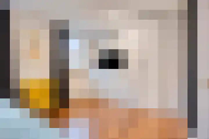 Sieberg 125 Uden thumbnail 22