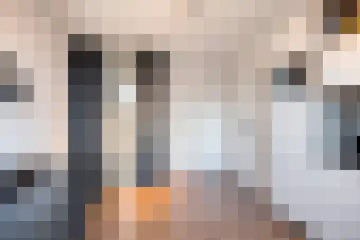 Sieberg 125 Uden thumbnail 27
