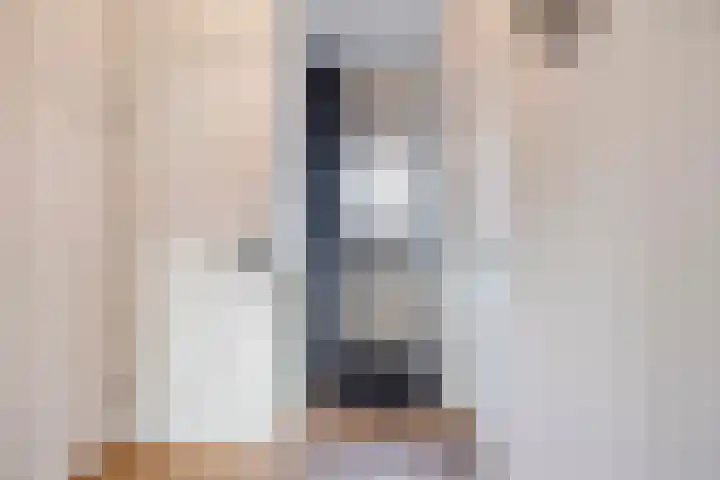 Sieberg 125 Uden foto 3