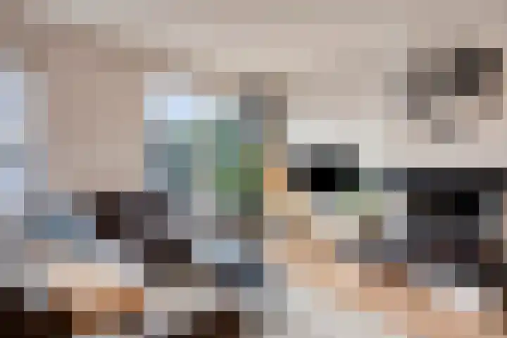 Sieberg 125 Uden thumbnail 4