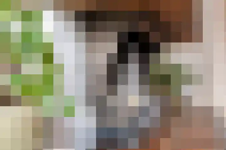 Sieberg 125 Uden thumbnail 7