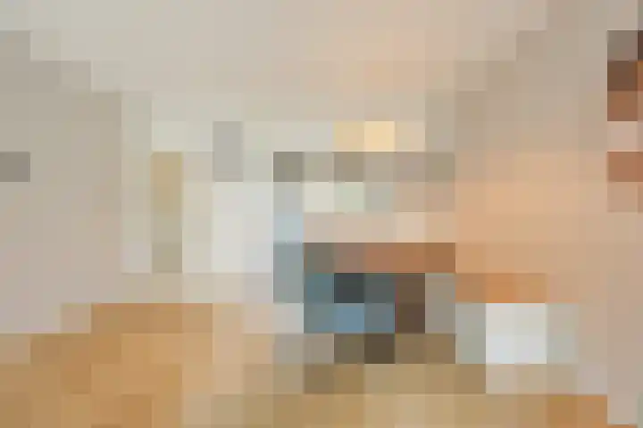 Sieberg 303 Uden thumbnail 15