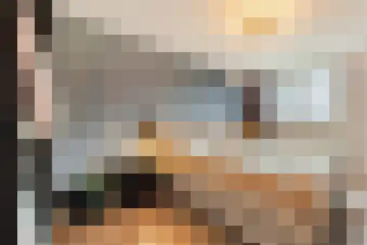 Sieberg 303 Uden thumbnail 22
