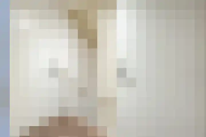 Sieberg 303 Uden thumbnail 34