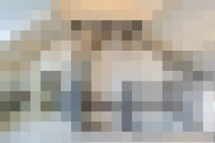 Sieberg 303 Uden thumbnail 37