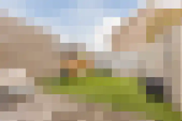 Sieberg 303 Uden thumbnail 40