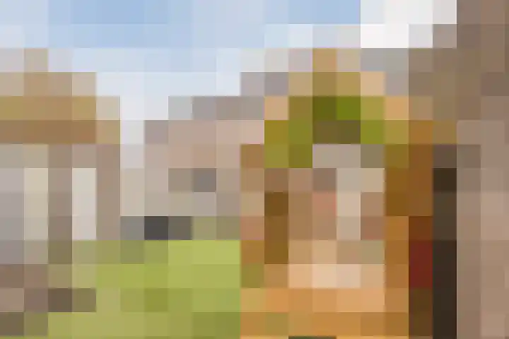 Sieberg 303 Uden thumbnail 42