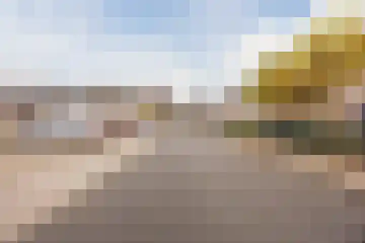 Sieberg 303 Uden thumbnail 46