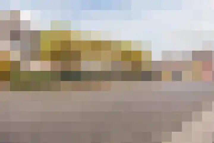 Sieberg 303 Uden thumbnail 6