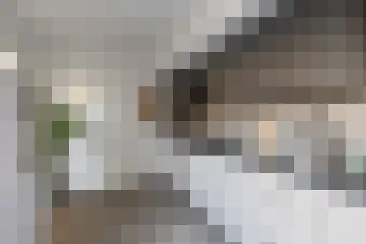 Siemenspark 43 Zuidbroek thumbnail 11