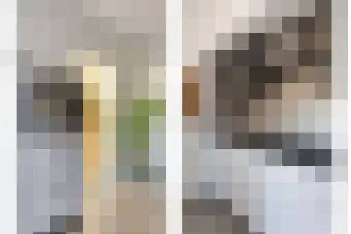 Siemenspark 43 Zuidbroek thumbnail 12