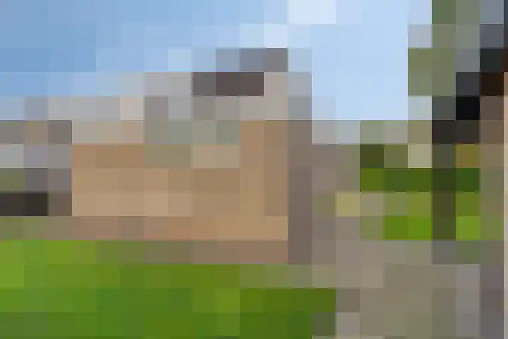 Siemenspark 43 Zuidbroek thumbnail 27
