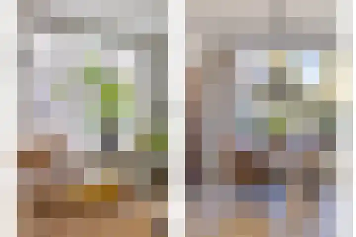 Siemenspark 43 Zuidbroek thumbnail 8