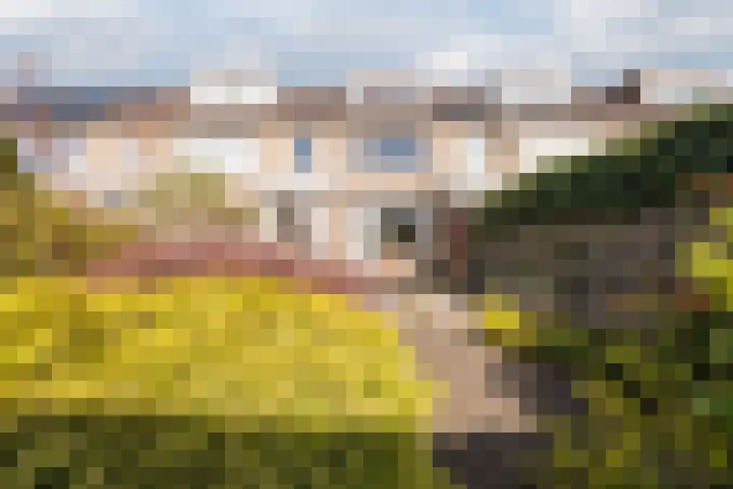 Siënalaan 29 Eindhoven thumbnail 31