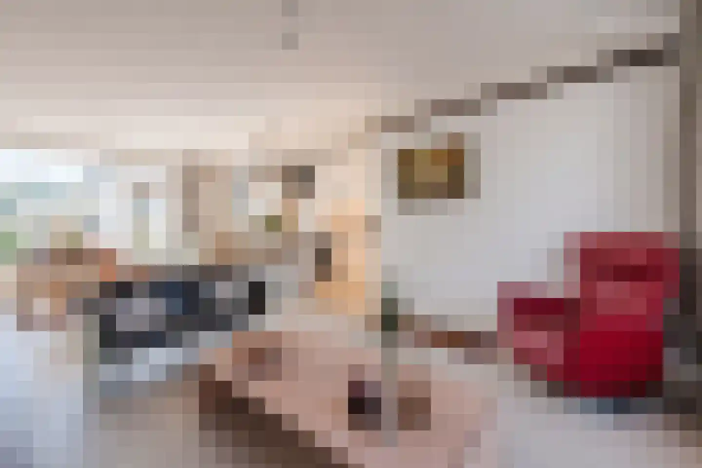 Siënalaan 29 Eindhoven thumbnail 7