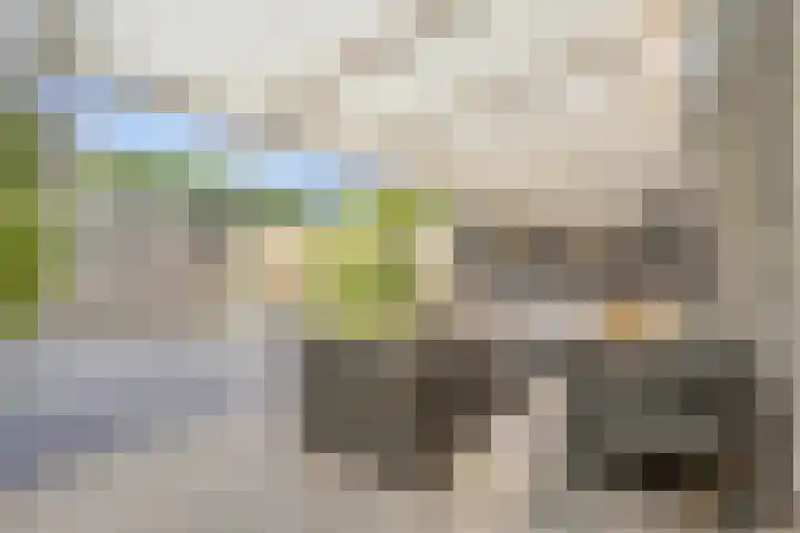 Siënalaan 5 Eindhoven thumbnail 34