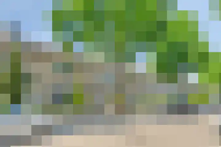 Siënalaan 5 Eindhoven thumbnail 39