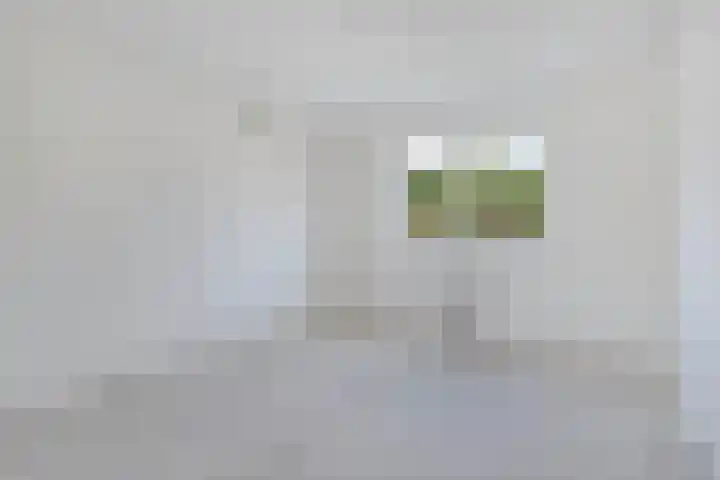 Sierdsmastee 10 Oudehaske thumbnail 15